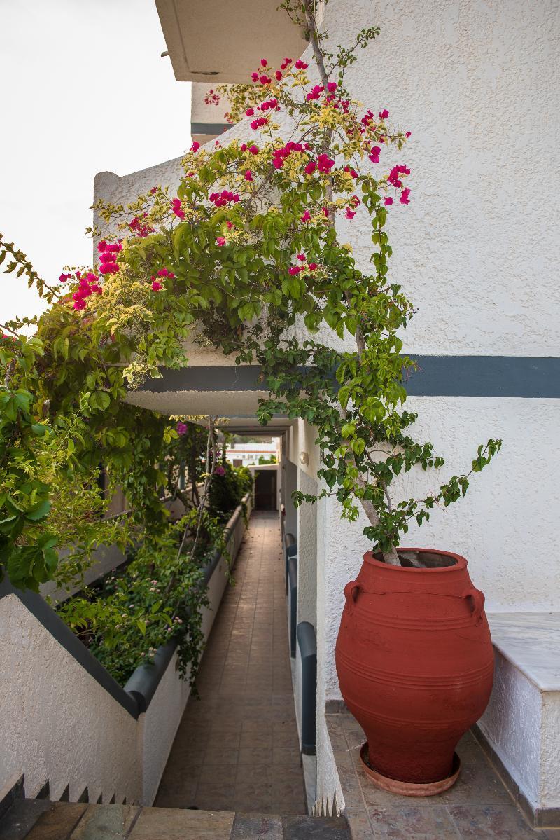 Fevro Hotel Agia Galini  Ngoại thất bức ảnh