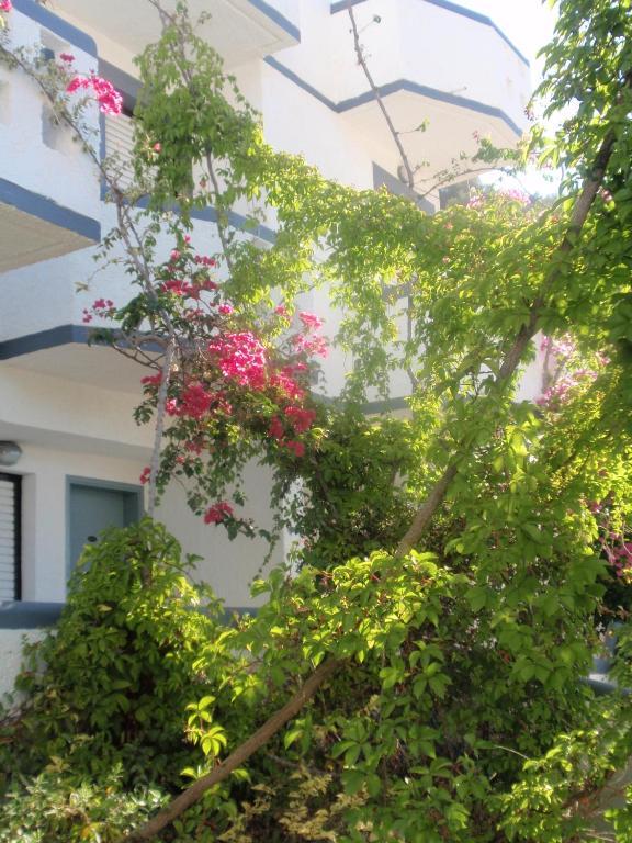 Fevro Hotel Agia Galini  Phòng bức ảnh