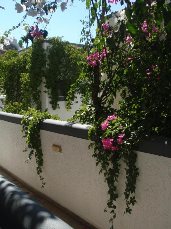 Fevro Hotel Agia Galini  Phòng bức ảnh
